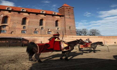 Zdjcie POLSKA / Pomorze / Gniew / Zamek w Gniewie