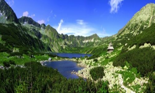 Zdjecie POLSKA / TATRY / TPN / Dolina Piciu Staww