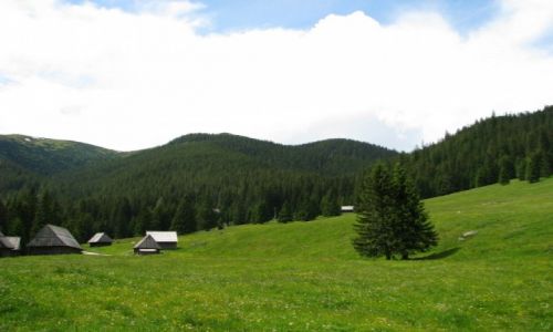 Zdjecie POLSKA / Tatry / Tatry / Polana Chochoowska - Tatrzaski Park Narodowy