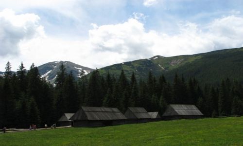 Zdjecie POLSKA / Tatry / Tatry / Szaasy na Polanie Chochoowskiej