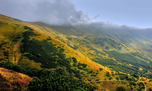Zdjecie POLSKA / Tatry / szlak na Trzydniowiański Wierch / Tatry