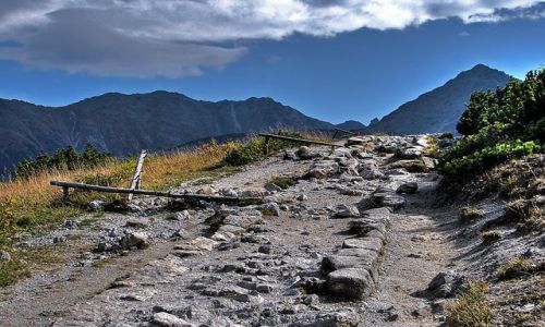 Zdjecie POLSKA / Tatry / na schronisko Murowaniec / Tatry