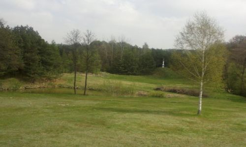 Zdjecie POLSKA / Lubelszczyzna / Majdan Skrzyniecki / Wiosna w Majdanie