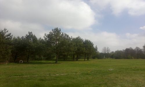 Zdjecie POLSKA / Lubelszczyzna / Majdan Skrzyniecki / Wiosna w Majdanie 2