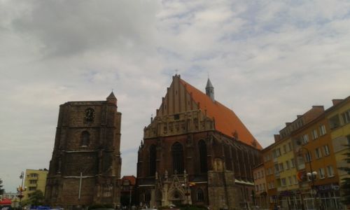 Zdjcie POLSKA / OPOLSKIE / NYSA / KATEDRA Z NAJBARDZIEJ STROMYM DACHEM EUROPY