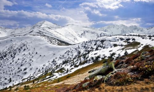 Zdjecie POLSKA / - / Tatry / Widok z Grzesia