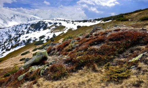 Zdjecie POLSKA / - / Tatry / Widok z Grzesia