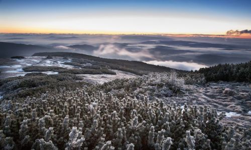 Zdjecie POLSKA / Beskid Makowski / Babia Gra / dzie si budzi