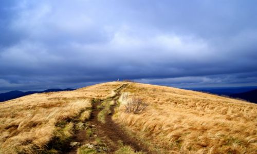 Zdjecie POLSKA / Bieszczady / Maa Rawka / W drodze na Rawk