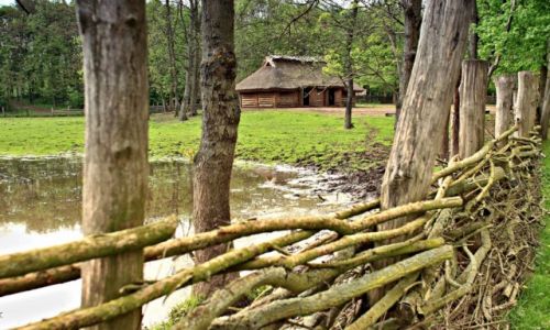 Zdjecie POLSKA / Kujawsko-Pomorski / Biskupin / Rezerwat archeologiczny.