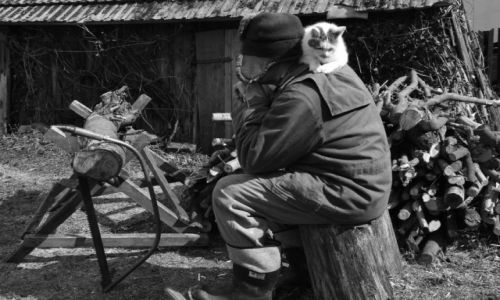 Zdjecie POLSKA / Dolny lsk / Dolny lsk / Konkurs Ludzie w obiektywie podrnika