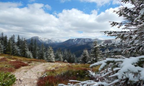 Zdjecie POLSKA / Podhale / Tatry Zachodnie / W drodze na Grzesia