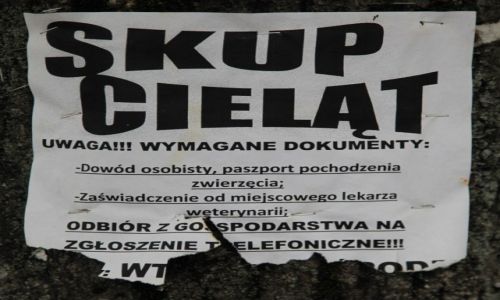 Zdjecie POLSKA / Beskid niski / Dukla / Ogoszenie
