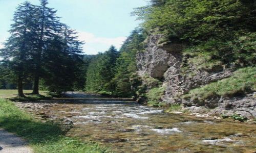 Zdjecie POLSKA / Tatry / Dolina Kocieliska / Dolina Kocieliska 