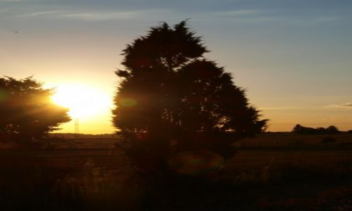 Zdjecie POLSKA / Podlasie / wieś Ossówka / Zmierzch na wsi