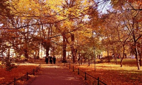 Zdjecie POLSKA / Kraków / planty / Trzech mężczyzn jesienną porą