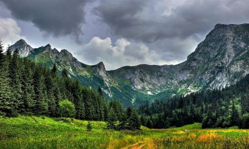Zdjecie POLSKA / Tatry / Tatry / Tatry