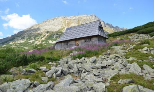 Zdjecie POLSKA / Zakopane / Tatry / Dolina Piciu Staww
