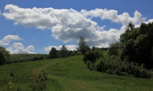 Zdjecie POLSKA / Beskid niski / Baucianka / Na szlaku