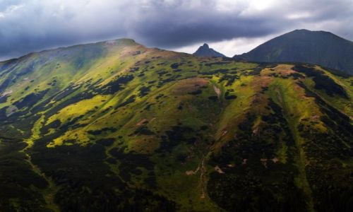 Zdjecie POLSKA / Tatry Zachodnie / Widok z trasy na Woowiec  / Zielone Wzgrza