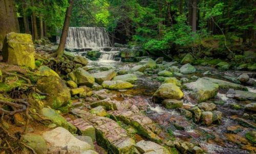 Zdjecie POLSKA / dolny �l�sk / Karpacz / Zatrzyma� emocje