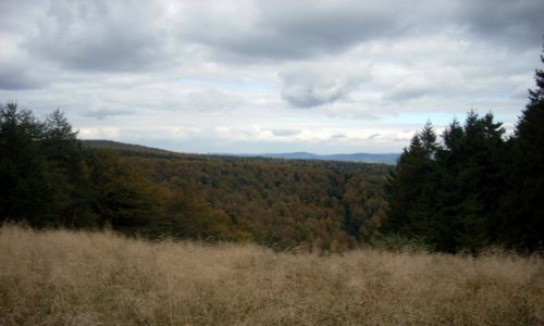 Zdjecie POLSKA / maopolskie / Krynica-zdrj / Gry, moje gry