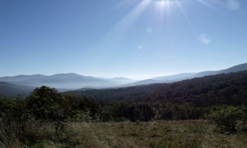 Zdjecie POLSKA / Bieszczady / Wetlina / Natura