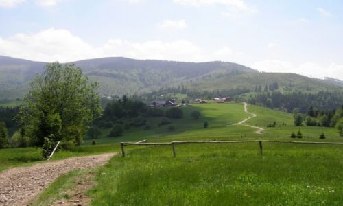 Zdjcie POLSKA / Beskid ywiecki / Hala Boracza / Waciwa droga