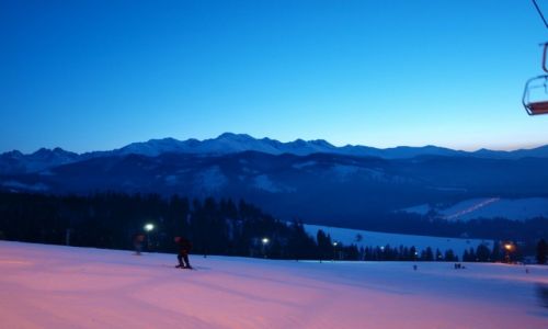 Zdjęcie POLSKA / Zakopane / stok narciarski / Zimowe Tatry