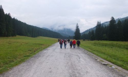 Zdjecie POLSKA / - / WYŻYNA KRAKOWSKO-CZĘSTOCHOWSKA / PODRÓŻ W NIEZNANE
