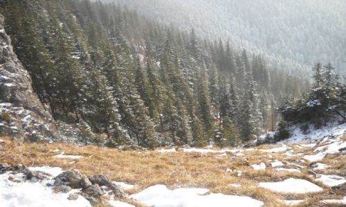Zdjęcie POLSKA / Zakopane / Nosal / Wyprawa w góry