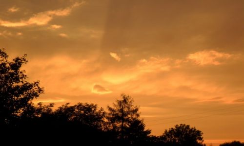 Zdjecie POLSKA / Lubelskie / Sobibór / 13 sierpnia