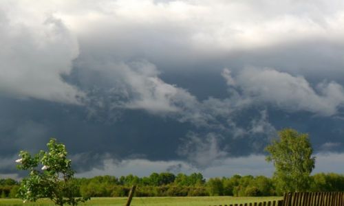 Zdjecie POLSKA / Lubelskie / Sobibór / Burzowo