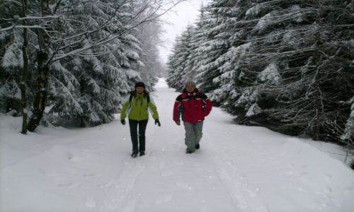 Zdjecie POLSKA / Karkonosze / Karpacz / W drodze na Śnieżkę...