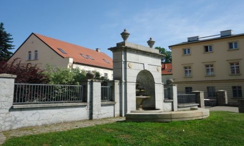 Zdjęcie POLSKA / Województwo wielkopolskie / Gniezno / Zaproszenie do Gniezna (4)