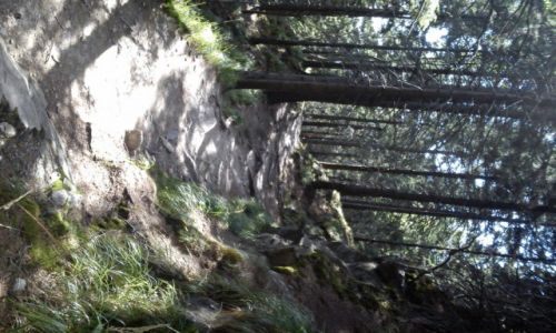 Zdjecie POLSKA / Kotlina Kłodzka / Szlak na Śnieżnik / Polskie góry są piękne