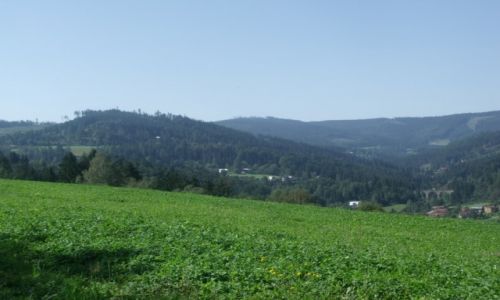 Zdjcie POLSKA / Beskid lski / Wisa / Z mostem