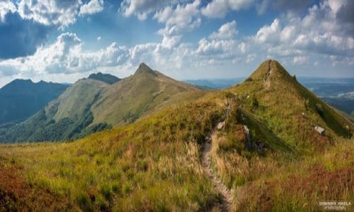 Zdjecie POLSKA / Podkarpackie / Bieszczady / Bieszczady