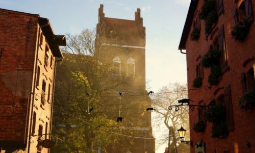 Zdjcie POLSKA / Kociewie / Gniew / koci w Gniewie