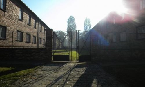 Zdjecie POLSKA / Ma�opolska / O�wi�cim / Auschwitz