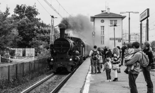 Zdjecie POLSKA / Warszawa / Stacja PKP Wawer / Wjedza na stacj lokomotywa...