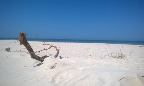 Zdjecie POLSKA / Pomorze / S�owi�ski Park Narodowy / Cudze chwalicie, swojego nie znacie