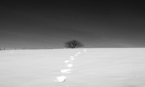 Zdjecie POLSKA / Podkarpacie / Grzegorzówka / Ślady przemijania...