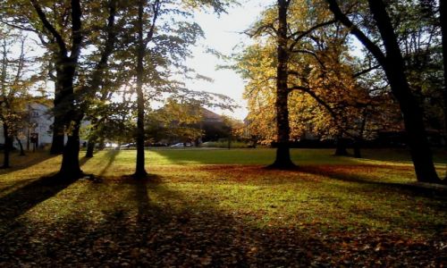 Zdjecie POLSKA / Wielkopolska / Pozna, Park Moniuszki / Jesienny park