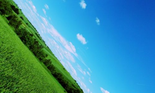 Zdjecie POLSKA / Podkarpacie / wieś niedaleko Jarosławia / Mała malownicza wieś :)