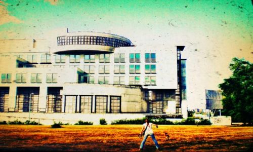 Zdjecie POLSKA / Bielany / Warszawa / w mieście.