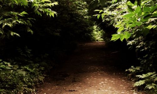 Zdjecie POLSKA / Małopolska / .... / Tajemnica