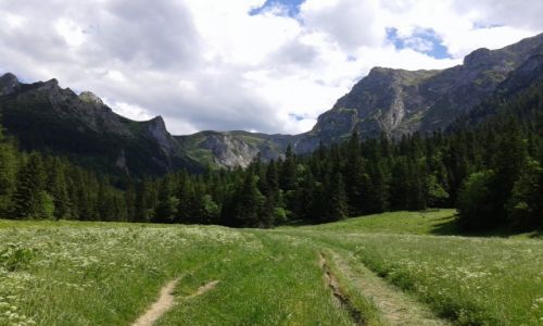 Zdjecie POLSKA / TATRY ZACHODNIE / WIELKA POLANA DOLINA MAEJ AKI / TATRY