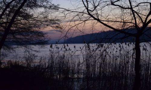 Zdjecie POLSKA / Wielkopolska / Swarzdz / Zachd soca