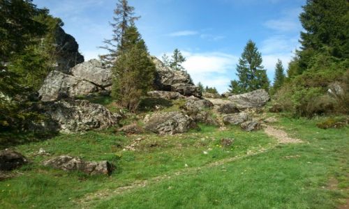 Zdjecie POLSKA / pieniny / pieniny / pieniny
